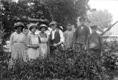 Trädgårdsarbetare på herrgården
