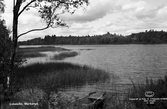 Markaryd, Lokasjön, 1949.