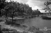 Markaryd, Skärsjöhagen, 1949.