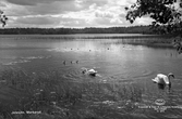 Markaryd, Jetesjön, 1949.