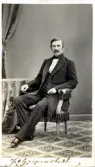 Porträtt av statsrådet Johan August Gripenstedt, 1862