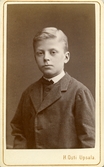 Porträtt av ung man, 1880-tal