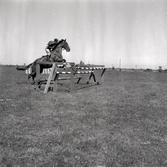 Petrus Kastenman rider remonter på Ottenby.