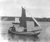 Segling i såghamnen