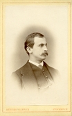 Mansporträtt, ca 1880