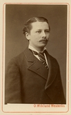 Mansporträtt, ca 1880