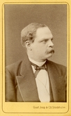 Mansporträtt, ca 1875