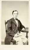 Porträtt av sittande man, 1878