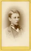 Porträtt av ung man, 1870-tal