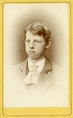 Porträtt av ung man, 1870-tal