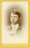 Porträtt av ung man, 1870-tal