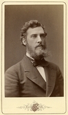 Porträtt av man med mustasch och skägg, 1870-tal