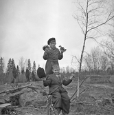 Tore Palme`r och Lennart Eriksson plockar blommor i skogen, 1940-tal