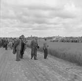 Hushållningssällskapets försöksodling, 1940-tal