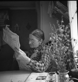 David Karlssons mor Maria läser tidning i huset i Karlstorp, 1930-tal