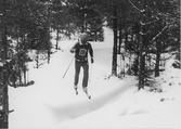 Fyrlingen. Skidåkning i Hemlingby14 februrari 1981.