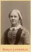 Kvinnoporträtt, 1880-talet