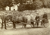 Familjen Gripenstedt med häst och vagn, 1870-tal