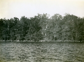 Strand vid Vinäs slottsuin, ca 1920