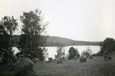 Hövolmar vid ängen mot Storsjön, ca 1920