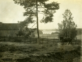 Hästhage vid Vinäs slottsuin, ca 1920