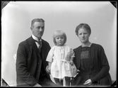 Familjen Ljunggren