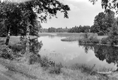 Ingelstad, Torsjön, 1957.