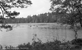 Hjortsberga, 1957.