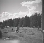 Publik på biltävling.
