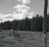 Publik på biltävling.
