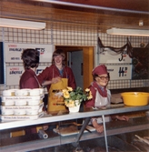 Tre kvinnliga expediter, klädda i röda rockar med hättor och förkläden, står bakom fiskdisken, Domus Mölndal C efter 1976. På disken till vänster ses flera förpackningar från Druvan, Eslöv, Smaksättare. På den vit-kaklade väggen i bakgrunden ses skyltar med olika sill-erbjudanden från Winner (Konsum-produkt).