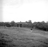 Klippestorp 1949