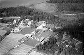 Tjugosjö, 1954.