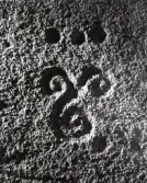 Hällristning Aspeberget. Tanum 18:1, L1967:2415