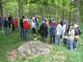 Besökare som deltar vid invigningen av Fagereds natur- och kulturstig i Lindome år 2008. 
Fagered bjuder på kommunens bäst bevarade järnåldersmiljö. Här finns rester av en gammal hålväg, spår av äldre jordbruksmark och ett 40-tal gravar. 
Relaterade motiv: 2024_1300 - 1308.
