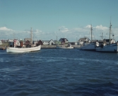 Glommens hamn med fiskebåtar och fiskebodar. Bybebyggelse med villor och ekonomibyggnader i bakgrunden.