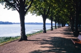 Strandpromenaden vid Växjösjön åt sydost.
Färgfoto ca 1970.