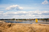 Sjön Trummen, trol. vid en strandäng ganska nära Teleborgs slott. En gul skylt förkunnar att Skånska Cementgjuteriet (nuv. Skanska) utför restaurering av sjön Trummen. I bakgrunden skymtar dåv. S:t Sigfrids sjukhus.