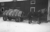 Häst med sädeslass hos David Eriksson i Bärsta, 1940-tal