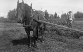 Höbärgning hos David Eriksson, 1940-tal