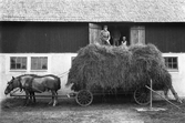 Hölass vid Karlstorp, 1940-tal