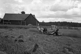 Rågskärning med självbindare vid Karlstorp,1940-tal