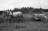 Rågskärning med självbindare, 1940-tal