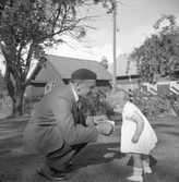 David Karlsson med flickebarn, 1940-tal