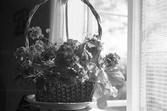 Flätad korg med blommor i köksönstret på Karlstorp, 1940-tal