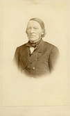 Porträtt av Lars Johan Hierta, ca 1865