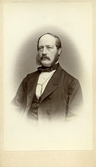 Porträtt av generalpostdirektör Wilhelm Roos, ca 1865