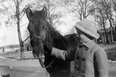 Pojke med häst på Färna herrgård, 1930