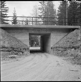 Järnvägsbro i betong.