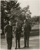 Lennart Belfrage, Nils Ekelund och Nils Ivarsson.